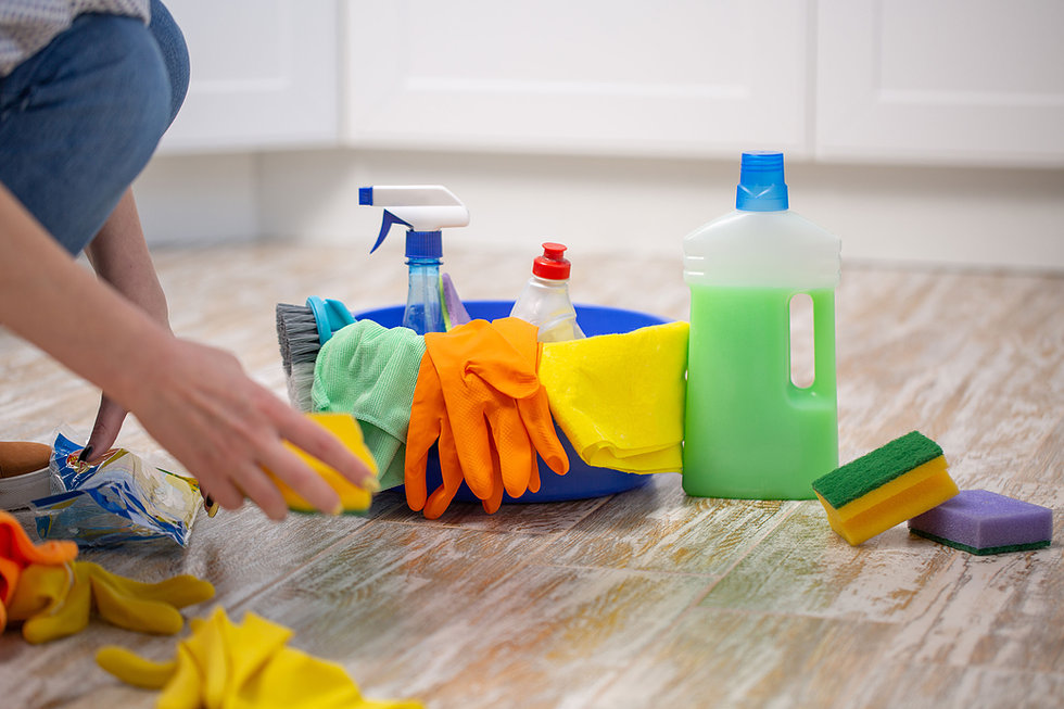 Woman with Cleaning Supplies